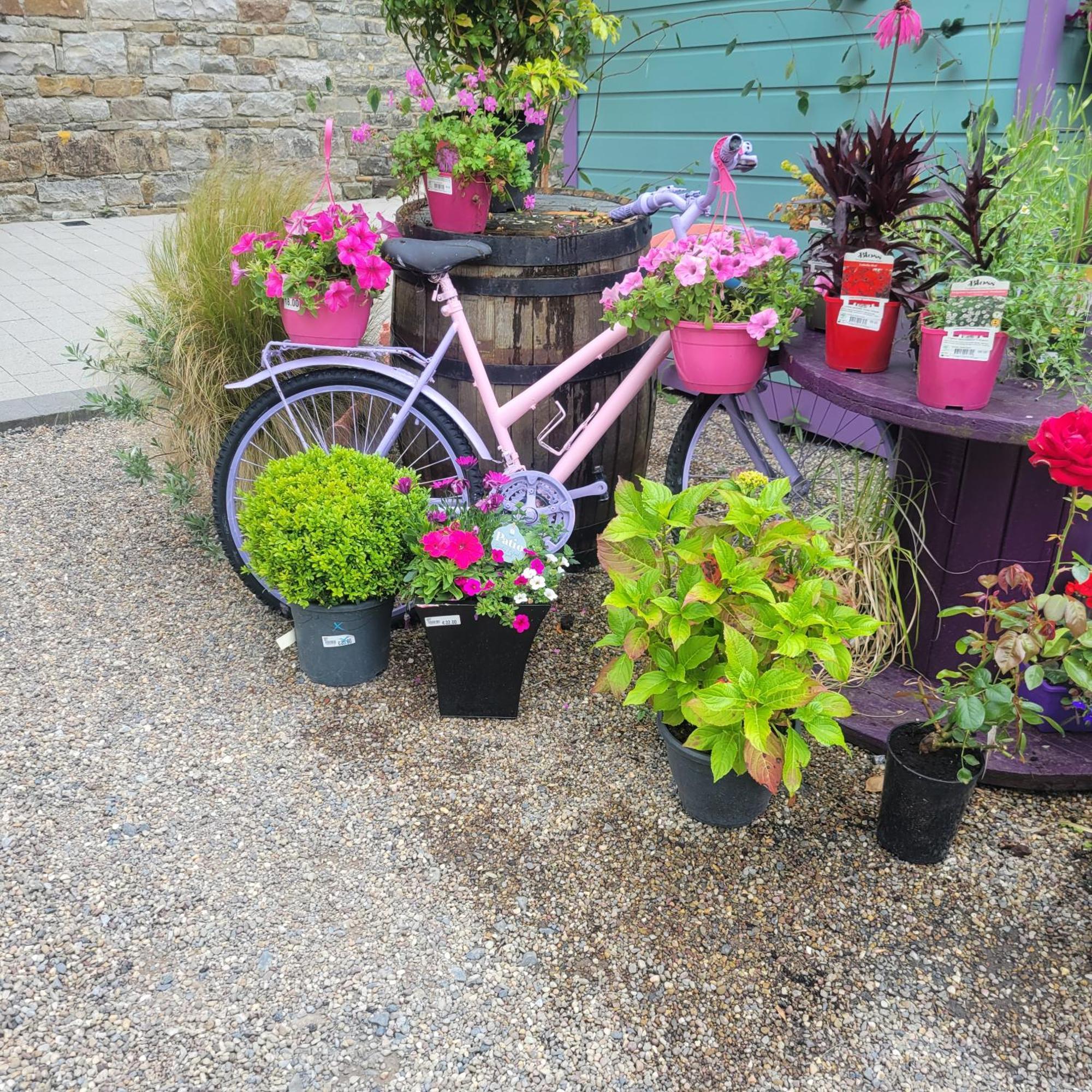 Coastal View Cottage Mullagh  Bagian luar foto